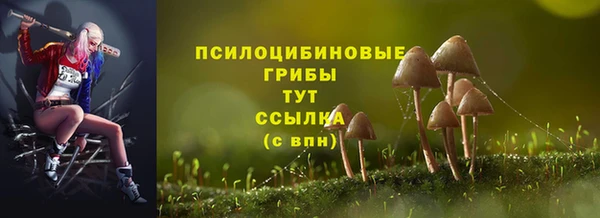 мяу мяу мука Белоозёрский